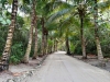 Andros Bahamas